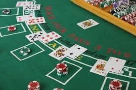 stakecasino Cómo llegamos a ser lo que somos